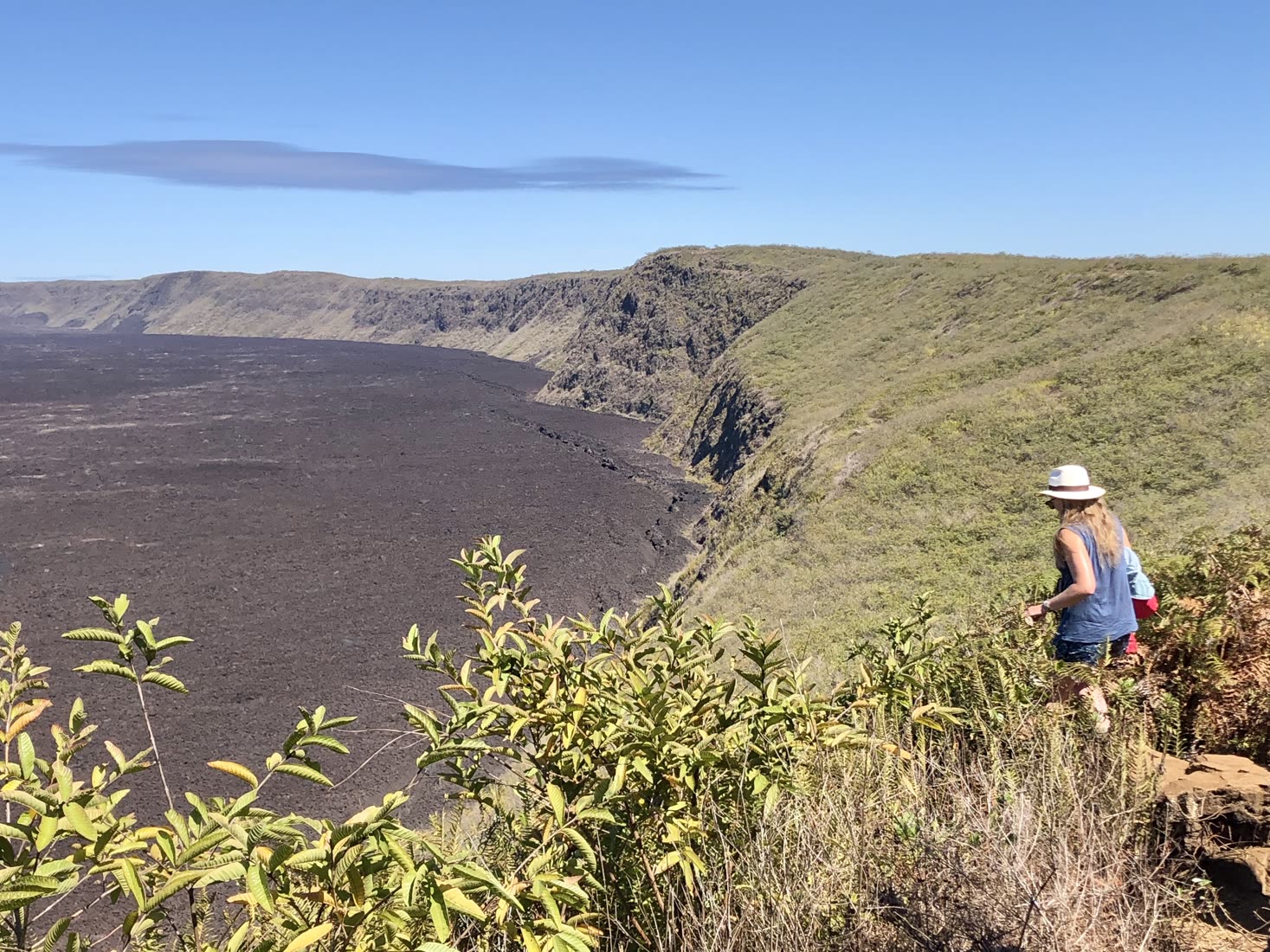 Galapagos expedition wildlife encounter