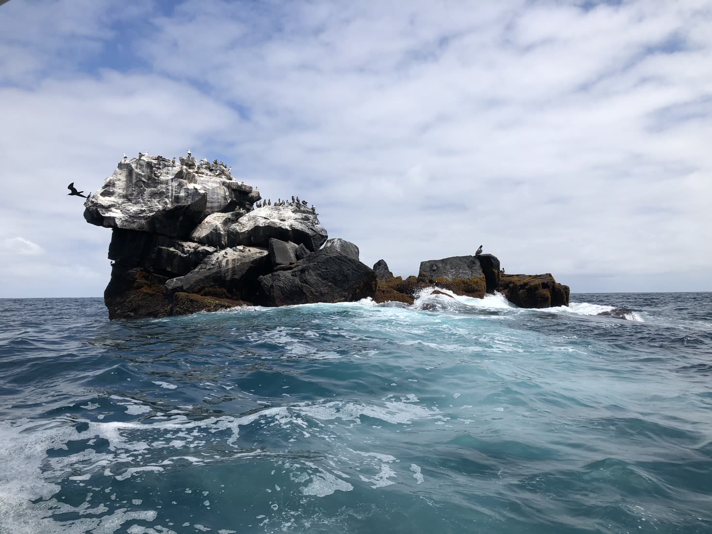 Galapagos landscape featured on a last-minute expedition